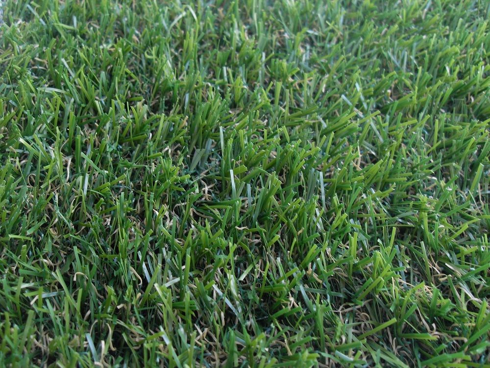 Трава искусственная Деко 20 (Ворс 20 мм)