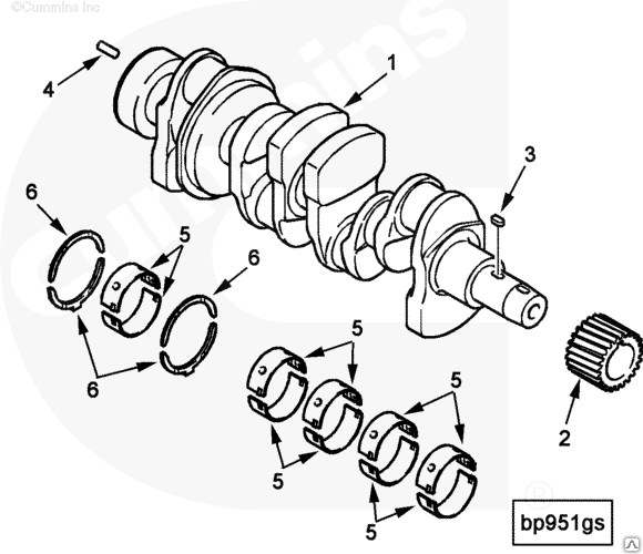 Каталог - Diesel Parts Company в Санкт-Петербурге