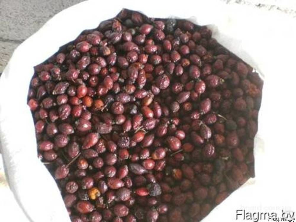 Плоды шиповника сушеные, цена в Минске от компании Меренга-М