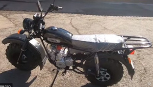 Мотоцикл внедорожный СКАУТ-3Р-140 полуавтомат АП С РЕВЕРСОМ купить за ...
